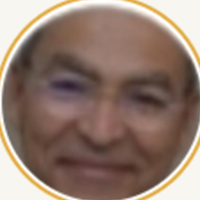 M. A. Aziz-Alaoui